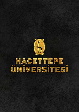 Hacettepe University TUR