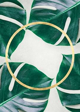 botanical polygon XI