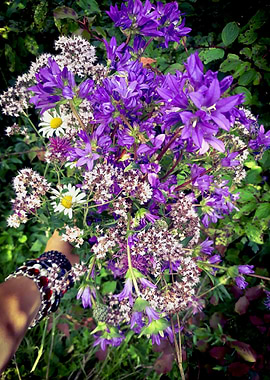 Boho flowers bouquet