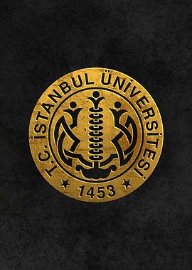 Istanbul University Turkie