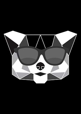 Panda Sichuan Cute Bear