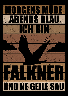 Falcons Falconry Bird Love