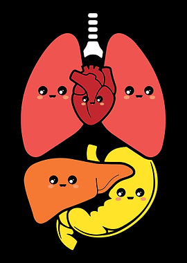 Cute Human Anatomy Body Pa