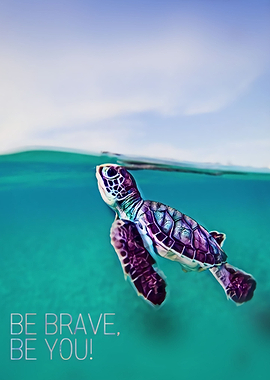 Mr Turtle Sail The Sea