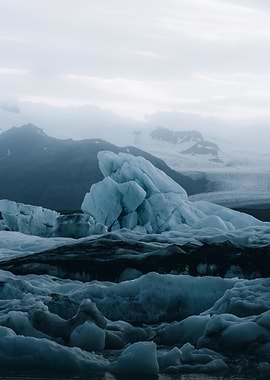 Floating Icebergs