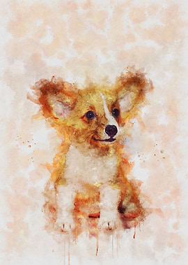 Chihuahua Puppy Portrait