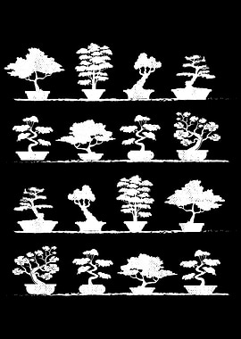 Collection of Bonsai Trees