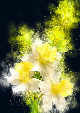 Polyvore graphy smoky