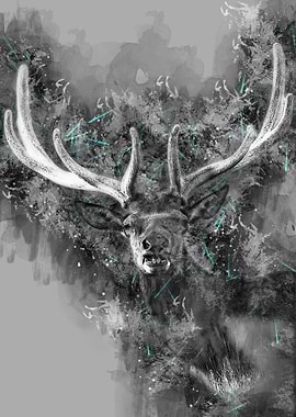 Animal Ilustration Posters