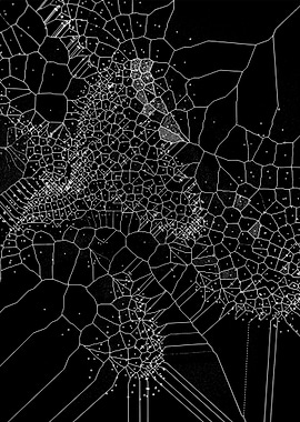 Voronoi Syndrome 06