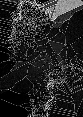 Voronoi Syndrome 01