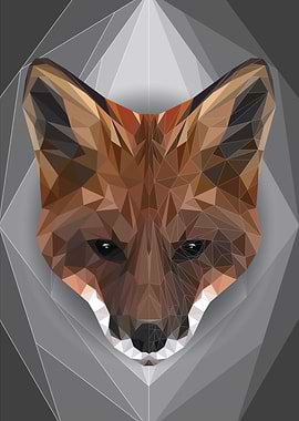 Fox Geometric