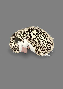Eleanora The Hedgehog