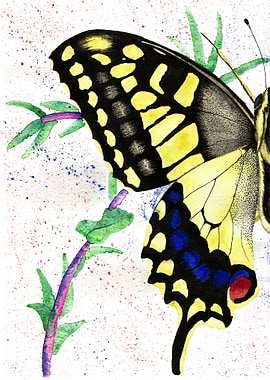 Spirit of Transformation