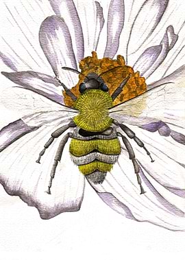 Spirit of Productivity