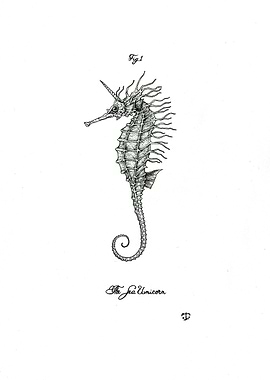 The Sea Unicorn