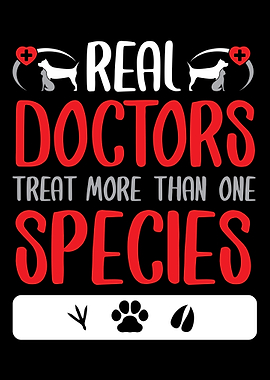 veterinarian animal dog