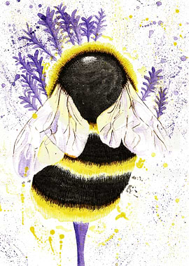 Chubby lavender bee