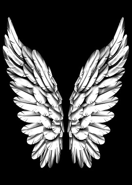 White Angel Wings