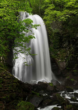 Japan Onogawa Fudotaki