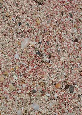 Red sand beach falassarna