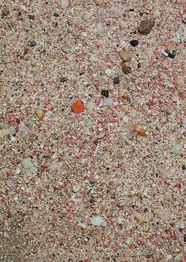 Red sand beach falassarna