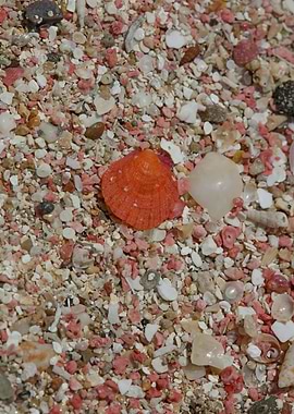 Red sand beach falassarna