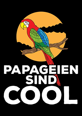 Parrot Cool good bird