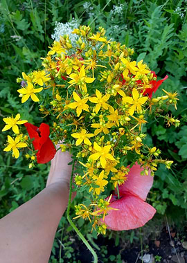 St John's worth bouquet