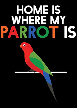 I love parrot bird