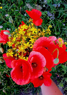Cottagecore poppy bouquet