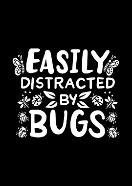 Bug Ladybug Insect Funny E