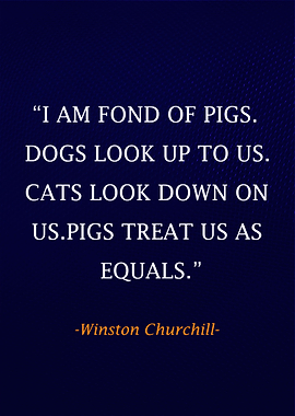Winston Churchill Qoute