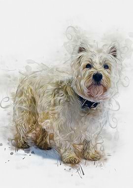 West Highland Terrier