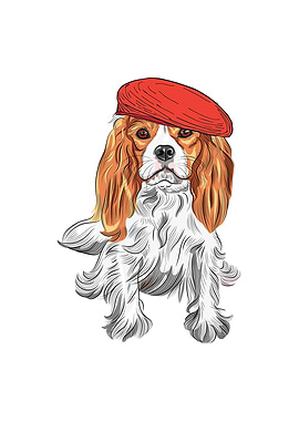 Cavalier King Hatted