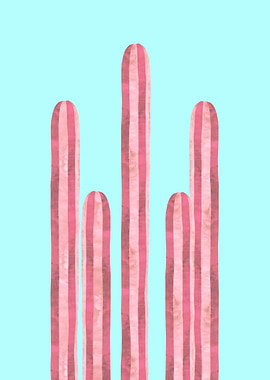 Cacti III