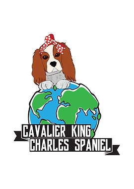 Cavalier King