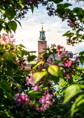 Stockholm City Hall Summer