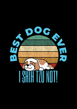 Funny I Shih Tzu Not