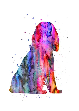 English Cocker Spaniel