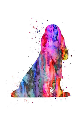 English Cocker Spaniel