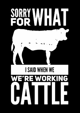 Sorry For What I Said When