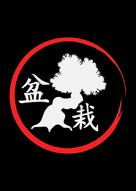 Bonsai Tree Japan Japanese