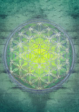 Flower Of Life borealis