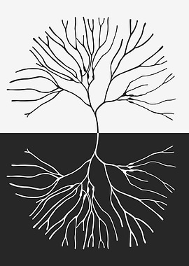 Black and white floral