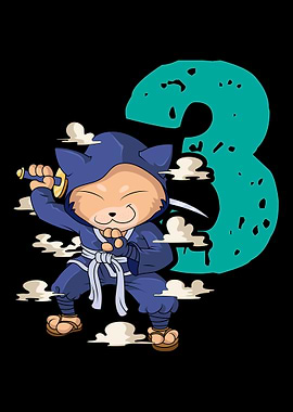 Ninja Cat 3Rd Birthday