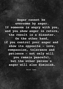 Dalai Lama Quote D036