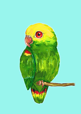 Yellow headed amazon