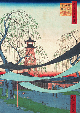 The First Race Course