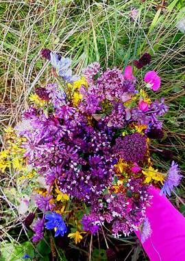 Purple wildflowers bouquet